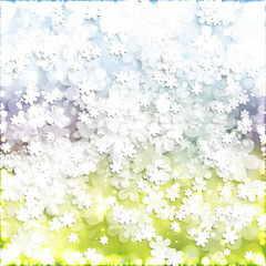 Spring Background with Flowers