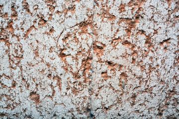 Stone texture