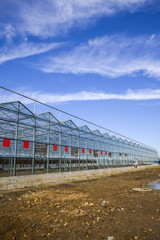 The new vegetable greenhouse