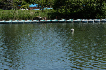 千代田湖

