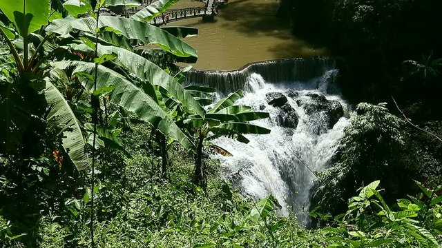 Cascade Waterfall with palm leaves in front of