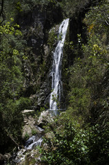 Fototapeta na wymiar Natural waterfall in Dominican Republic named Las Aguas Blancas, Constanza, summer day