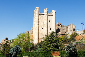 Castillo de Coyanza. Valencia de Don Juan, León, España.
