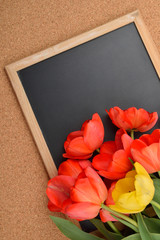 Many red and yellow tulips open on blank blackboard, over cork background. Selective focus. Space for text