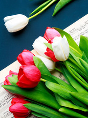 Fototapeta premium Red and white tulips on a book with music music notes on a blue background close-up view from above
