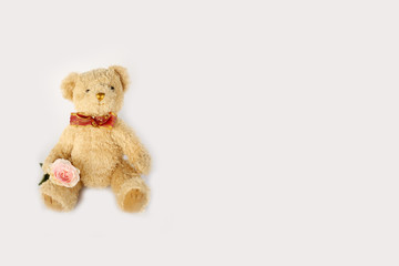 Cute teddy bear doll