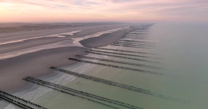 Moules de bouchots &agrave; Quend-Plage et alignements de bouchots