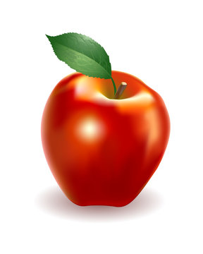 Vector illustration of detailed big shiny red apple