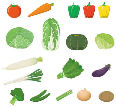 野菜のイメージイラストセット