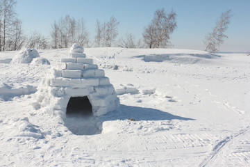 Igloo  on a snow glade in the winter