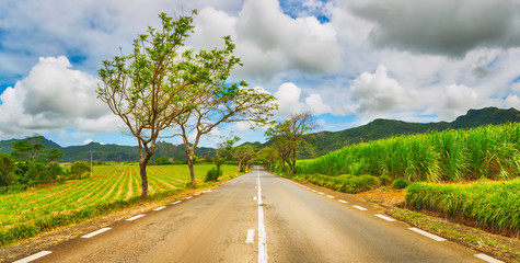 Quite road among green hills landscape, Mauritius. Panorama