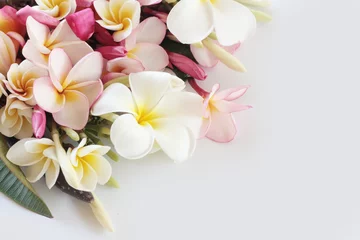 Foto auf Acrylglas Frangipani Beautiful plumeria flower on white background 