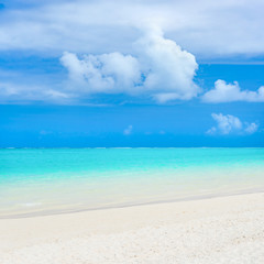  Pointe d'Esny beach, Mauritius.