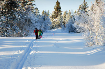 Skiing