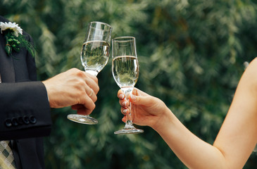 .Newlyweds with glasses of champagne in nature in summer