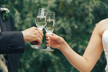 .Newlyweds with glasses of champagne in nature in summer