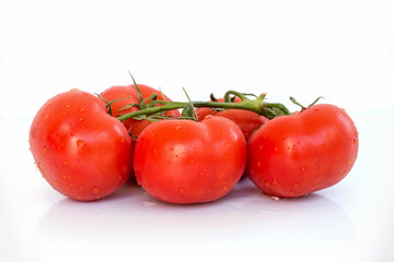 Fresh branch of tomatoes with water droplets on white background