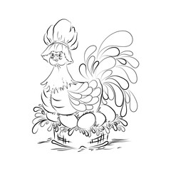 Chicken on eggs animal chicken