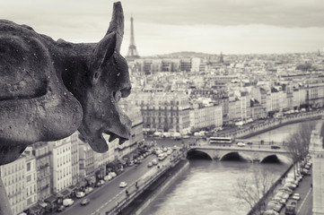 Gargoyle of Notre-Dame, top view of Paris. Monochrome photo.