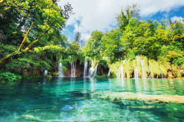 A photo of fishes swimming in a lake, taken in the national park Plitvice, Croatia