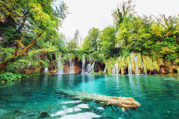 Waterfalls in national park falling into turquoise lake. Plitvice, Croatia