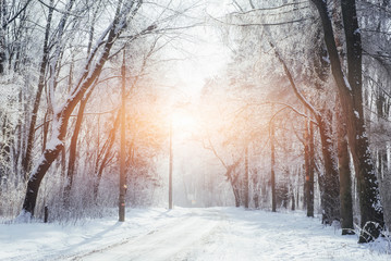 the winter road. Dramatic scene. Carpathian, Ukraine, Europe.