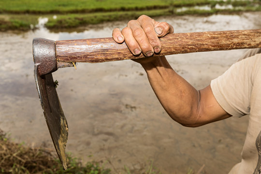 Campesino con azada en la mano.