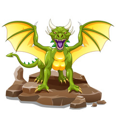 Beautiful dragon on a white background. Vector illustration