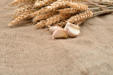Dry garlic on jute background, with bunch of wheat behind them. Concept of healthy food, bio from countryside. Rustic image. Country style. Copy space