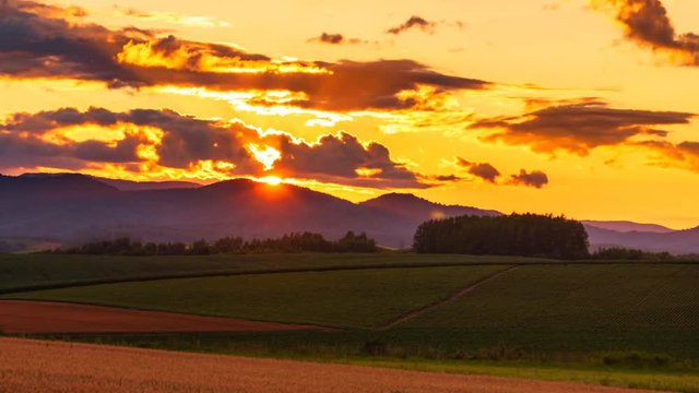 Biei Hill View The Patchwork Road sunset time lapse 4k - Time lapse of the sun setting behind the field hill in biei hokkaido