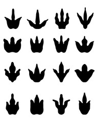 Black footprints of dinosaurs on a white background, vector