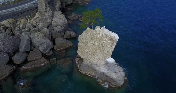 Lo Scoglio della Cadrega, pino marittimo albero, vista aerea, Lungomare tra Santa Margherita Ligure e Portofino, Paraggi, Liguria, Italia