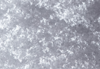 snow as a backdrop. macro