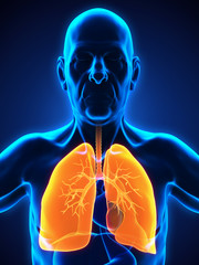 Elderly Male Respiratory System
