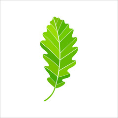 icon leaf