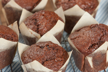 Homebaked Chocolate Muffins In Paper Cases.