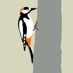 Woodpecker vector illustration style Flat