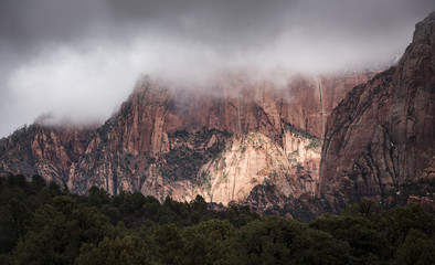 UTAH, WINTER, STORM, FOG, KOLAB CANYON, LANDSCAPE,