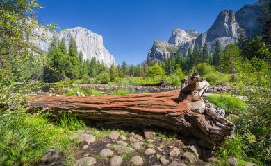 Yosemite National Park in summer, California, USA