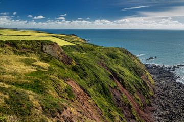 Pastures on the edge of a cliff near the sea shore. Near the Hartland Point. Devon. England