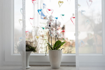 Orchideen am Fenster mit Herzen im Hintergrund