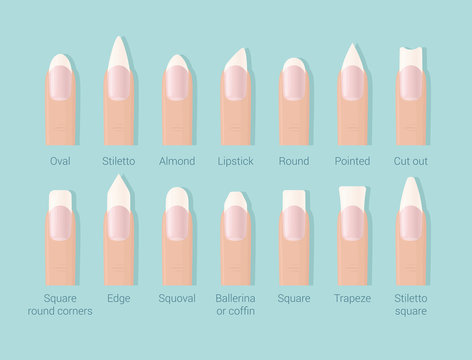 Different shapes of nails. Professional female manicure. Nails trends. Vector illustration.