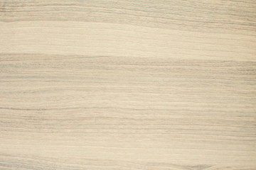 Wood texture,Bark texture