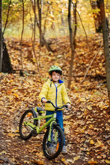 Fototapeta premium A boy is riding a bicycle in an autumn forest.