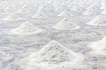 Sea salt production field in countryside of Thailand, salt industry.