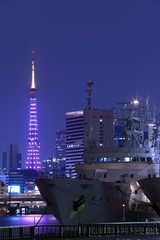 Fototapeta premium 東京夜景