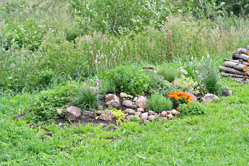Rock garden with stones and flowers