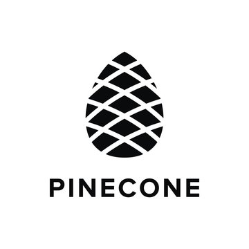 Pinecone logo vector