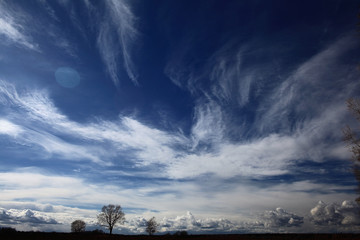 Fototapeta premium piękne wiosenne chmury nad drzewami