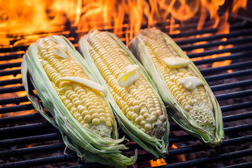 Fresh corncob on grill with butter and salt